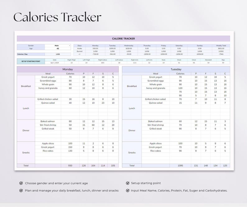Fitness Tracker Spreadsheet | Google Sheets & Excel | Health & Wellness