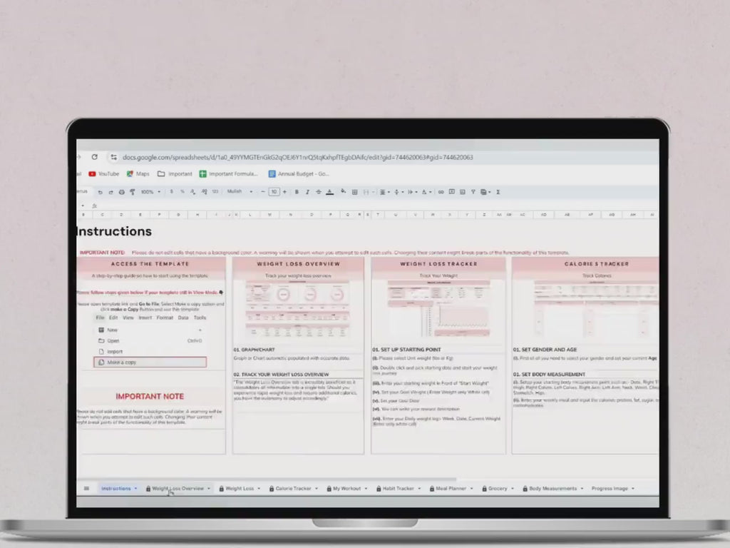Fitness Tracker Spreadsheet | Google Sheets & Excel | Health & Wellness